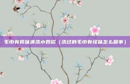毛巾有异味清洗小妙招（洗过的毛巾有怪味怎么回事）