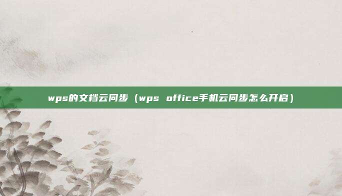 wps的文档云同步（wps office手机云同步怎么开启）