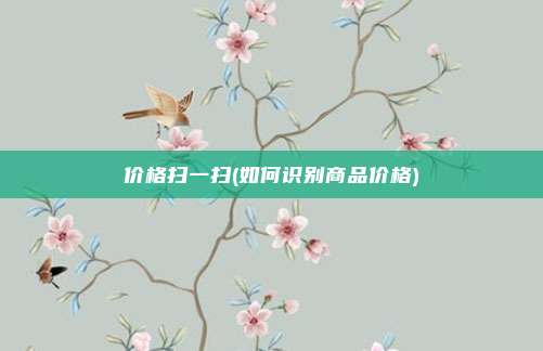 价格扫一扫(如何识别商品价格)