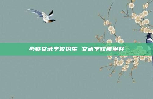 少林文武学校招生 文武学校哪里好