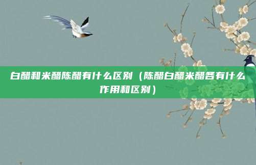 白醋和米醋陈醋有什么区别（陈醋白醋米醋各有什么作用和区别）