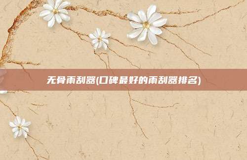 无骨雨刮器(口碑最好的雨刮器排名)