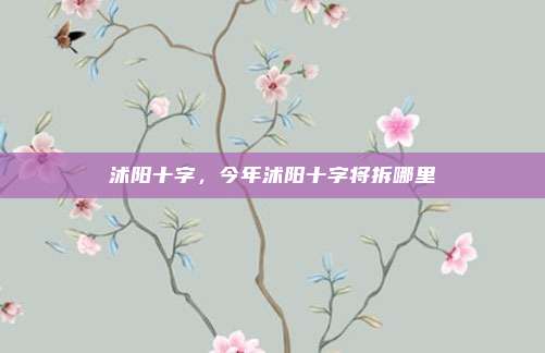 沭阳十字,今年沭阳十字将拆哪里