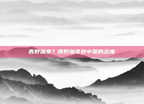 西野加奈?西野加奈对中国的态度