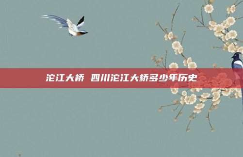 沱江大桥 四川沱江大桥多少年历史