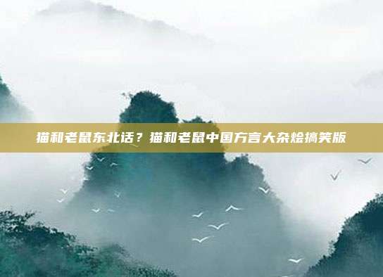 猫和老鼠东北话？猫和老鼠中国方言大杂烩搞笑版