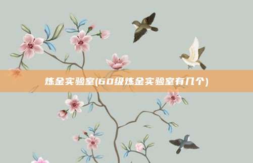 炼金实验室(60级炼金实验室有几个)