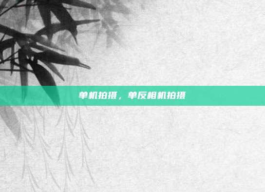 单机拍摄,单反相机拍摄