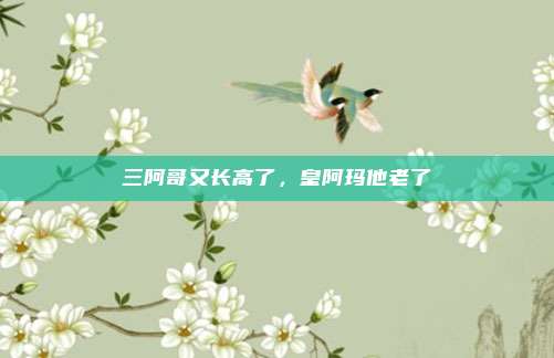 三阿哥又长高了,皇阿玛他老了