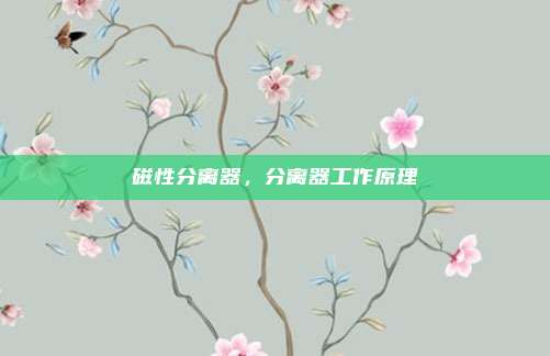 磁性分离器，分离器工作原理