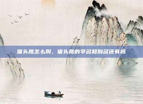 猫头鹰怎么叫，猫头鹰的学名和别名还有吗