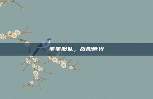 星星舰队，战舰世界