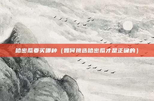 哈密瓜要买哪种（如何挑选哈密瓜才是正确的）