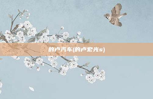 的卢汽车(的卢宏光s)