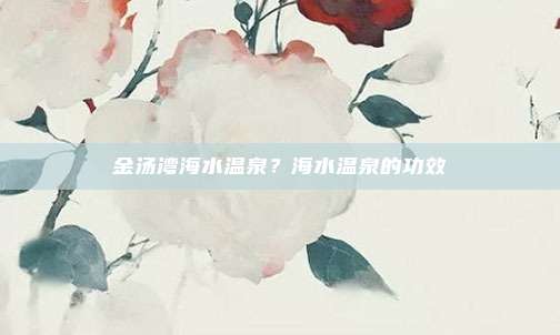 金汤湾海水温泉?海水温泉的功效