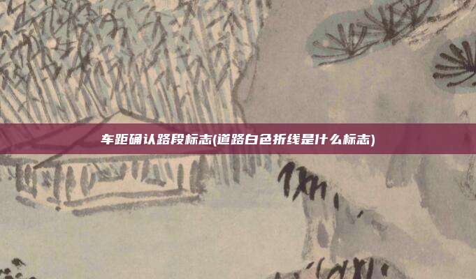 车距确认路段标志(道路白色折线是什么标志)