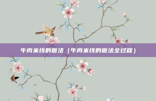 牛肉米线的做法（牛肉米线的做法全过程）