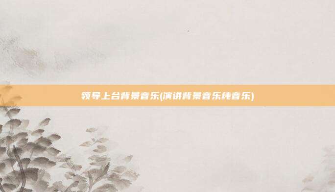 领导上台背景音乐(演讲背景音乐纯音乐)
