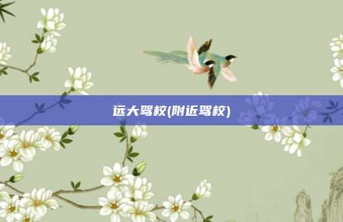 远大驾校(附近驾校)