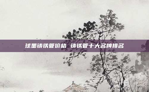 球墨铸铁管价格 铸铁管十大名牌排名