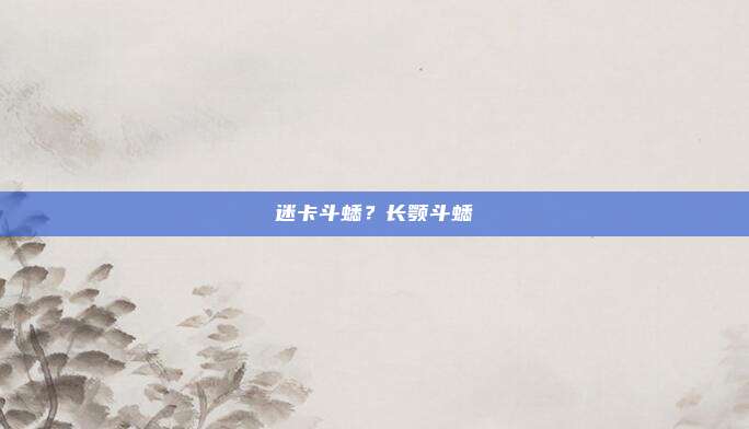迷卡斗蟋?长颚斗蟋