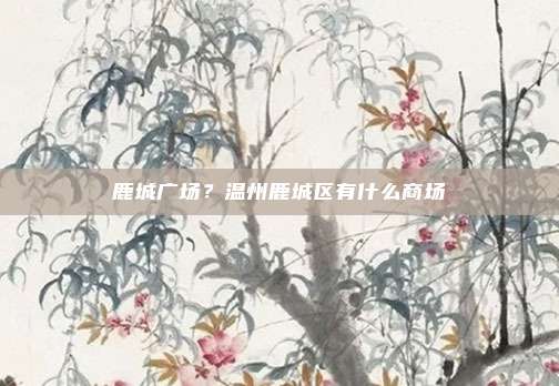 鹿城广场？温州鹿城区有什么商场