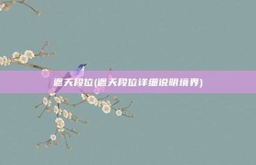 遮天段位(遮天段位详细说明境界)