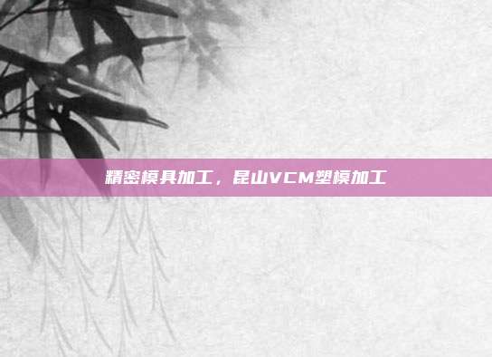 精密模具加工,昆山VCM塑模加工
