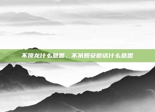 不顶龙什么意思，不吊照安徽话什么意思