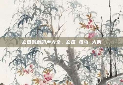 玄凤鹦鹉叫声大全，玄凤 母鸟 大叫