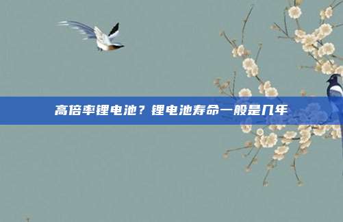 高倍率锂电池？锂电池寿命一般是几年