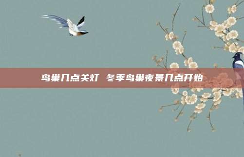 鸟巢几点关灯 冬季鸟巢夜景几点开始