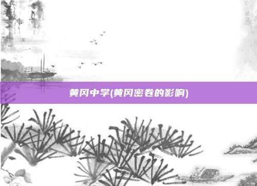 黄冈中学(黄冈密卷的影响)