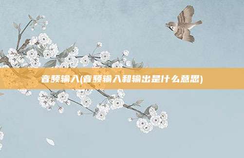 音频输入(音频输入和输出是什么意思)