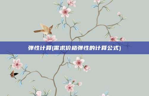 弹性计算(需求价格弹性的计算公式)