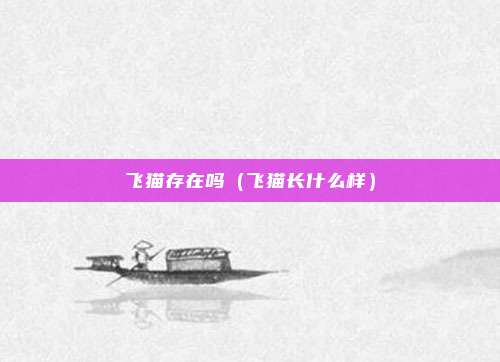 飞猫存在吗（飞猫长什么样）