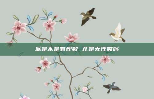 派是不是有理数 兀是无理数吗