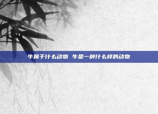 牛属于什么动物 牛是一种什么样的动物