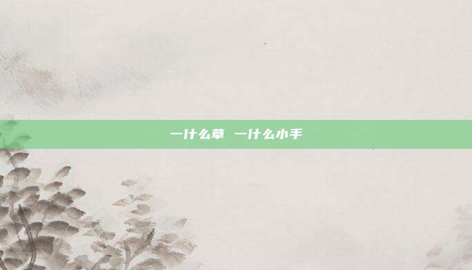 一什么草 一什么小手