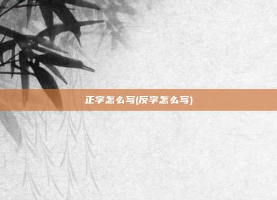正字怎么写(反字怎么写)