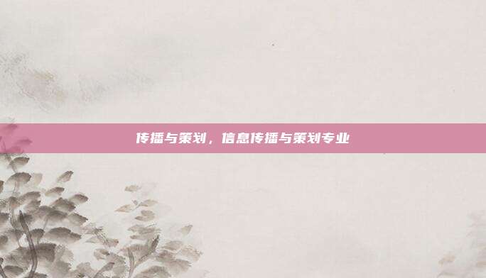 传播与策划,信息传播与策划专业