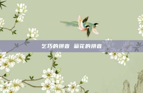乞巧的拼音 菊花的拼音