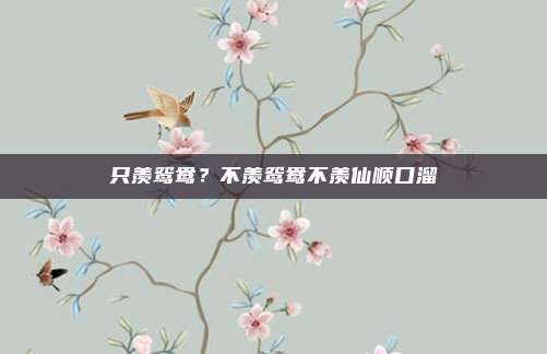 只羡鸳鸯?不羡鸳鸯不羡仙顺口溜