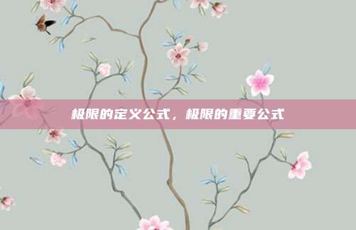 极限的定义公式，极限的重要公式
