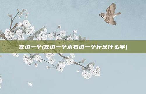 左边一个(左边一个木右边一个斤念什么字)