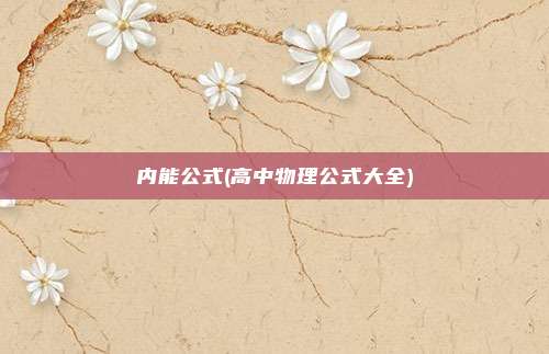 内能公式(高中物理公式大全)