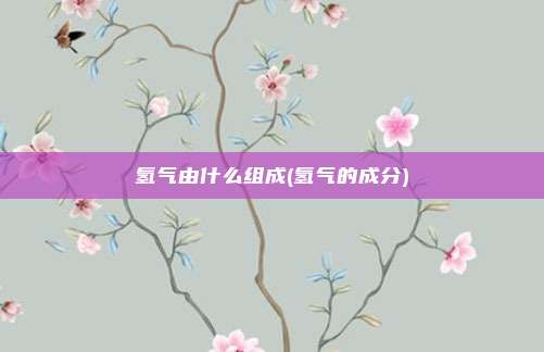 氢气由什么组成(氢气的成分)