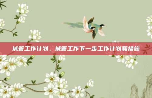 城管工作计划，城管工作下一步工作计划和措施