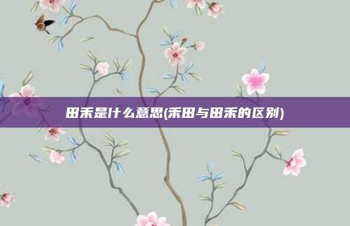 田禾是什么意思(禾田与田禾的区别)