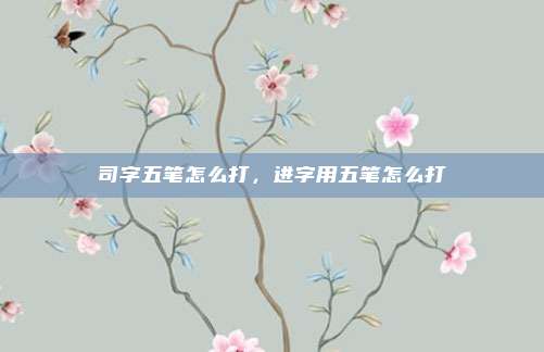 司字五笔怎么打，进字用五笔怎么打